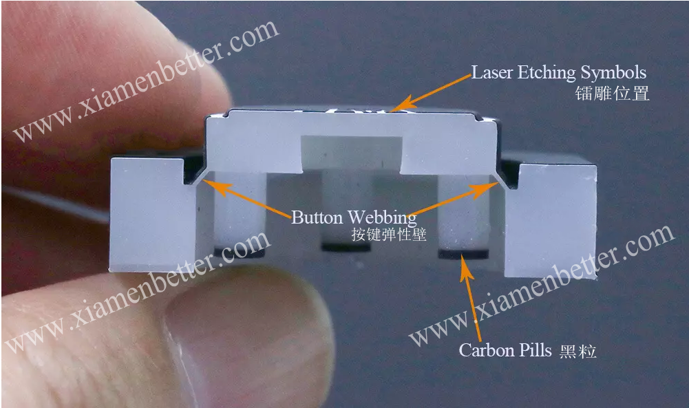 硅胶镭雕按键横切面